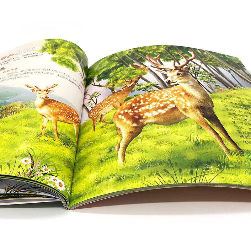 3-6 years old Children's Eyes on the World Science Museum Forest Animals