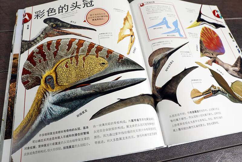 DK Children's Illustrated Encyclopedia Dinosaur Age Hardcover Genuine Panorama of the Prehistoric World Popular Science Books for Primary School Students 6-12 Years Old Dinosaur Fossil Exploration Introduction to Paleontology