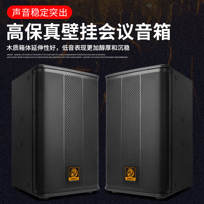 SHILE professional passive speakers 10-inch multi-function hall stage conference room lecture hall dance room KTV entertainment speakers pair BX-505