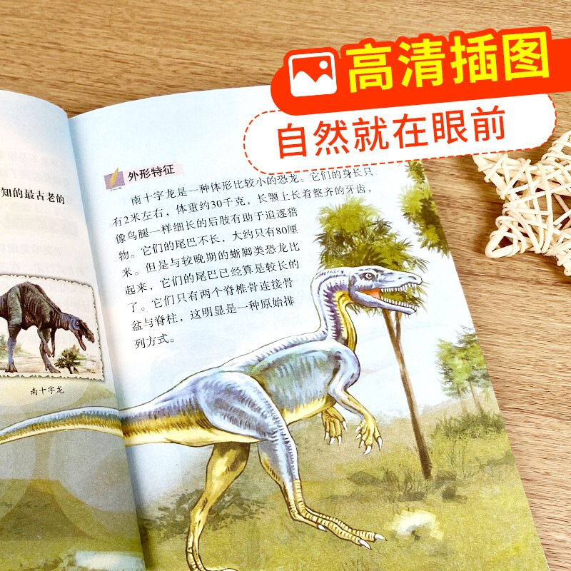 Popular science exploration for children (all 4 volumes) Animal Encyclopedia + Dinosaur Encyclopedia + Plant Encyclopedia + Insect Encyclopedia Reviewed by popular science writers and zoologist High-definition pictures Jointly recommended by Chinese teachers Extracurricular reading books for primary school students