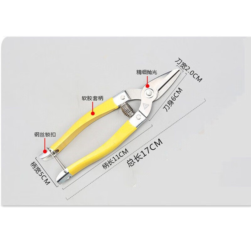 Denning stainless steel flat mouth straight head sugar orange citrus passion fruit tribute orange navel orange fruit picking scissors bud scissors 17cm