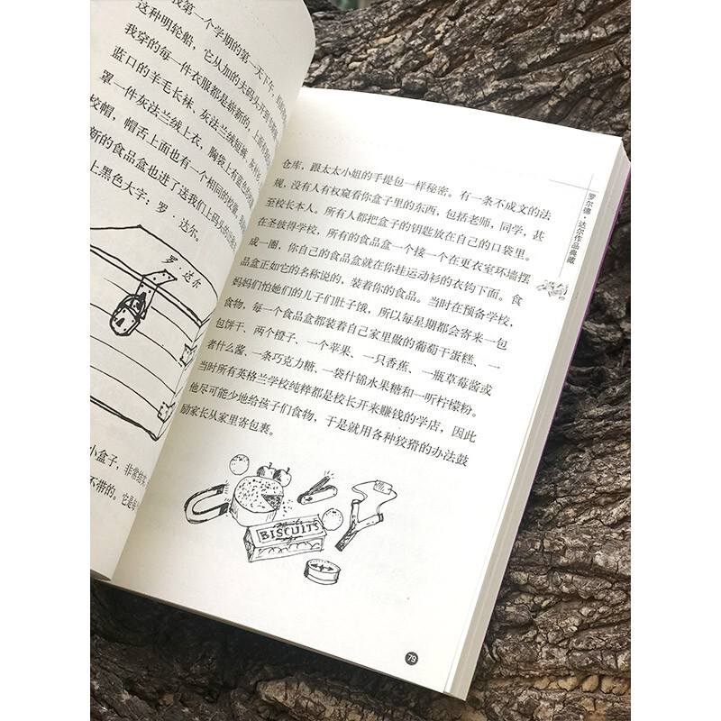 Collection of Roald Dahl's Works Good Boy Childhood Stories Extracurricular Reading Extracurricular Books