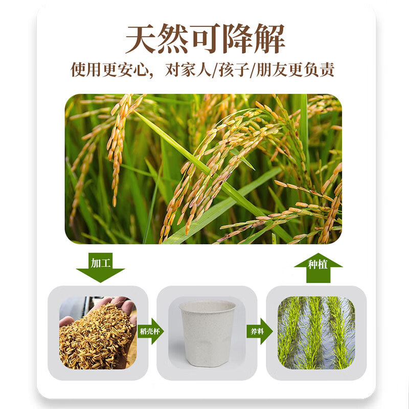 Daoying disposable cup for home office reception tea drinking cup Kung Fu tea cup food grade thickened rice husk water cup rice husk water cup 90ml six pack (180 in total)