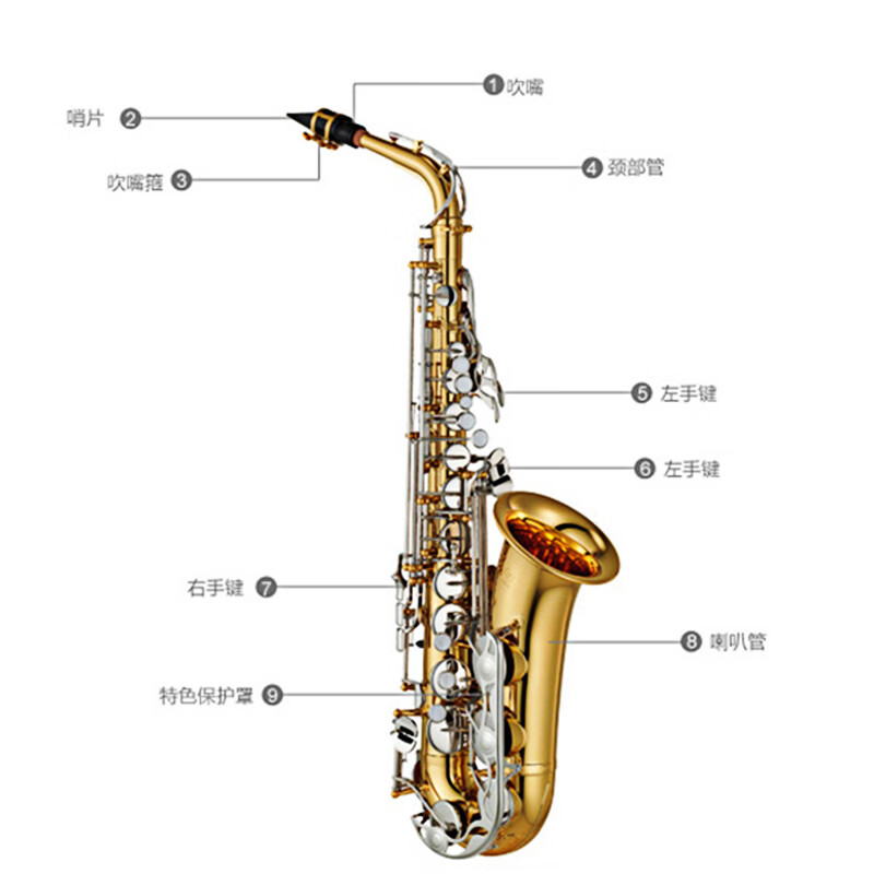 Yamaha (YAMAHA) saxophone YAS-26 E flat alto saxophone children adult beginners grade examination professional performance