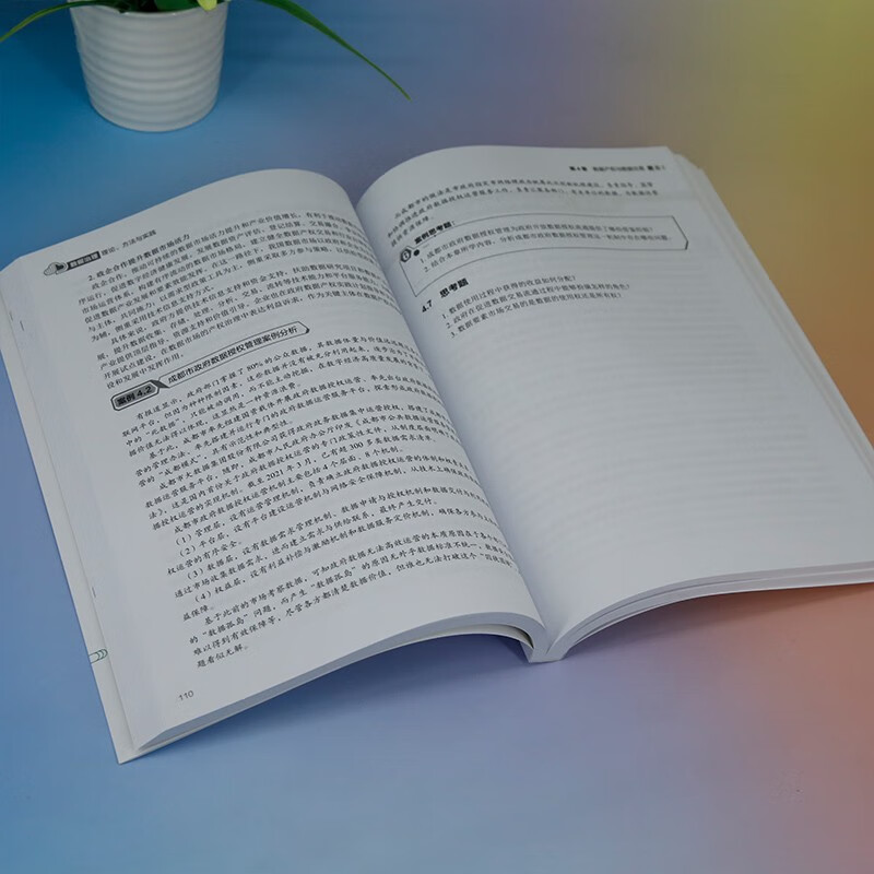 Data Governance (Textbook on New Forms of Theoretical Methods and Practice)/Computer Science and Technology Series