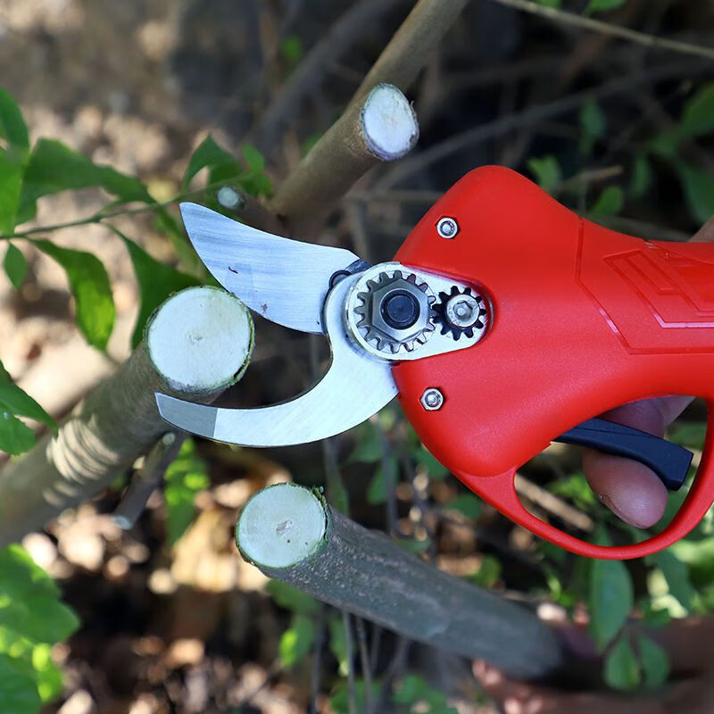 Electric scissors, powerful electric pruning shears, electric shears, fruit tree scissors, branch shears, garden lithium battery fruit tree shears, 4.0 upgraded model, 2 batteries and 1 charge (carton packaging)