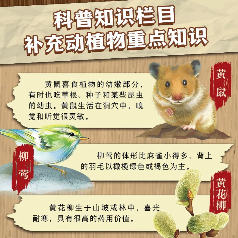 Forest News popular science color painting phonetic version set of 4 volumes spring, summer, autumn and winter four seasons natural encyclopedia children's literature extracurricular reading books for primary school students in grades 1, 2, 3, 4, 5 and 6, one to two transitions, primary to junior transition