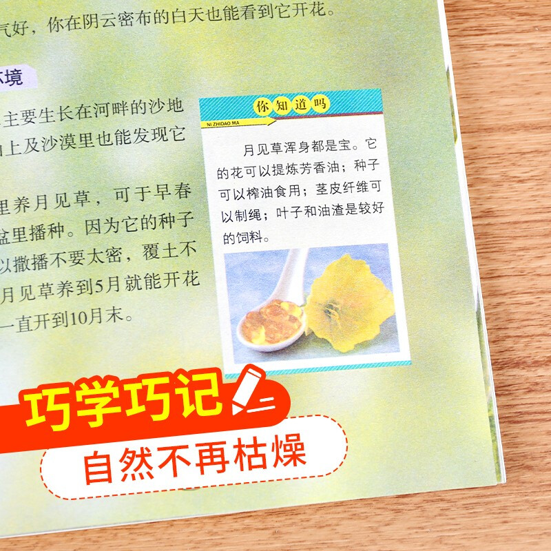 Popular science exploration for children (all 4 volumes) Animal Encyclopedia + Dinosaur Encyclopedia + Plant Encyclopedia + Insect Encyclopedia Reviewed by popular science writers and zoologist High-definition pictures Jointly recommended by Chinese teachers Extracurricular reading books for primary school students