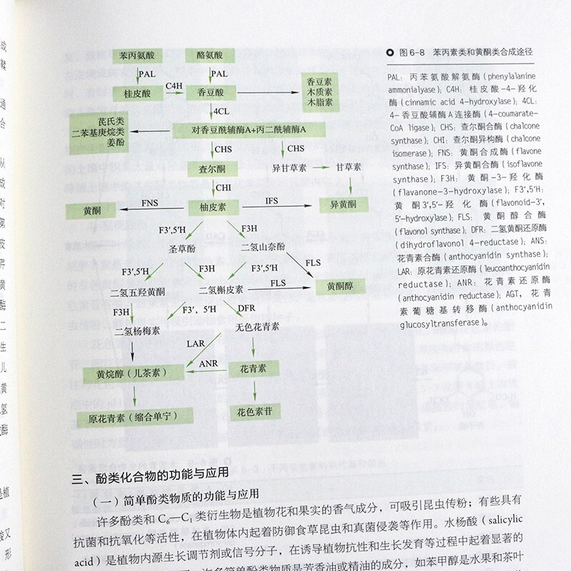 Official free shipping Plant Physiology Wang Xiaojing 8th Edition 8th Edition Pan Ruichi Higher Education Press Normal College Comprehensive University and Agriculture and Forestry College Textbooks Botany Biology Tutorial Postgraduate Entrance Examination Books