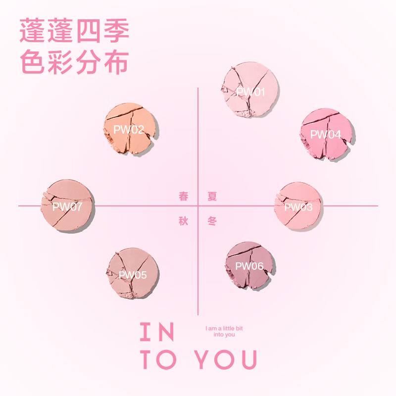 INTO YOU fluffy blush rouge single color contouring birthday gift for women New Year gift PW03 fluffy intellectual powder