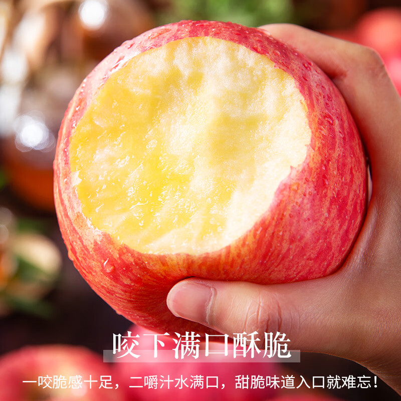 Luochuan Apple, Shaanxi Yan'an Luochuan Red Fuji Apple, 25-year new fruit, seasonal apple fruit gift box, direct delivery from the origin, selected extra large fruits, net weight 8.5 catties (single fruit 250+), about 15-18 pieces