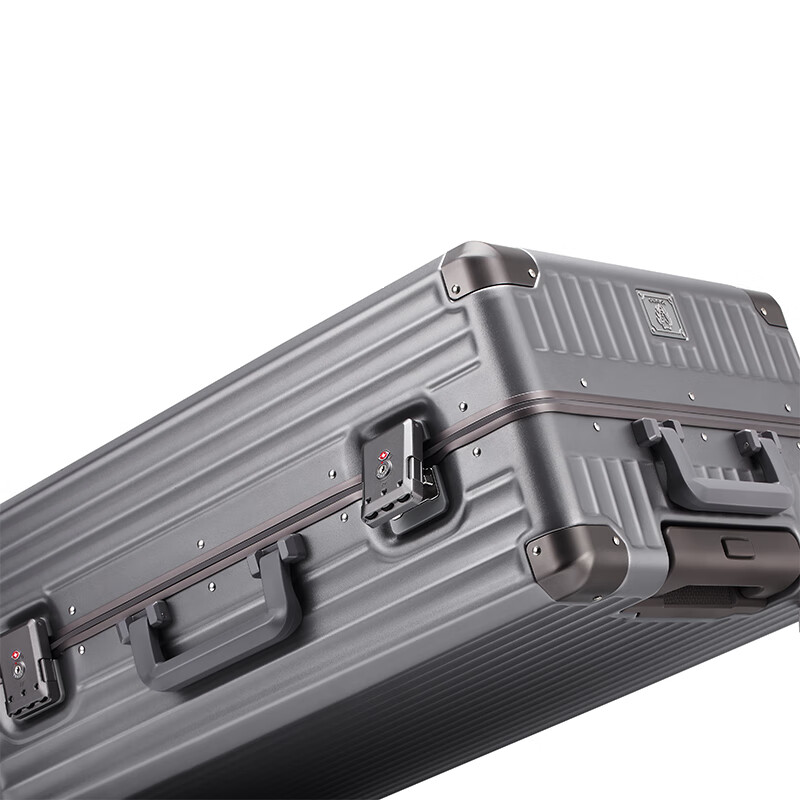 Roaming suitcase trolley case large capacity men's and women's high-looking travel luggage password case leather case 24-inch champagne gun