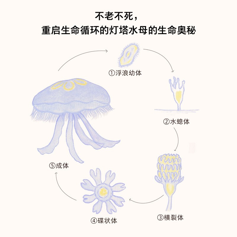 Every life is important. A life education book for children. Selected in the 100 recommended primary school reading books of IRead. 29 mysterious creatures that hide evolution. The popular book on animal life and death in Japan. CITIC Publishing House.