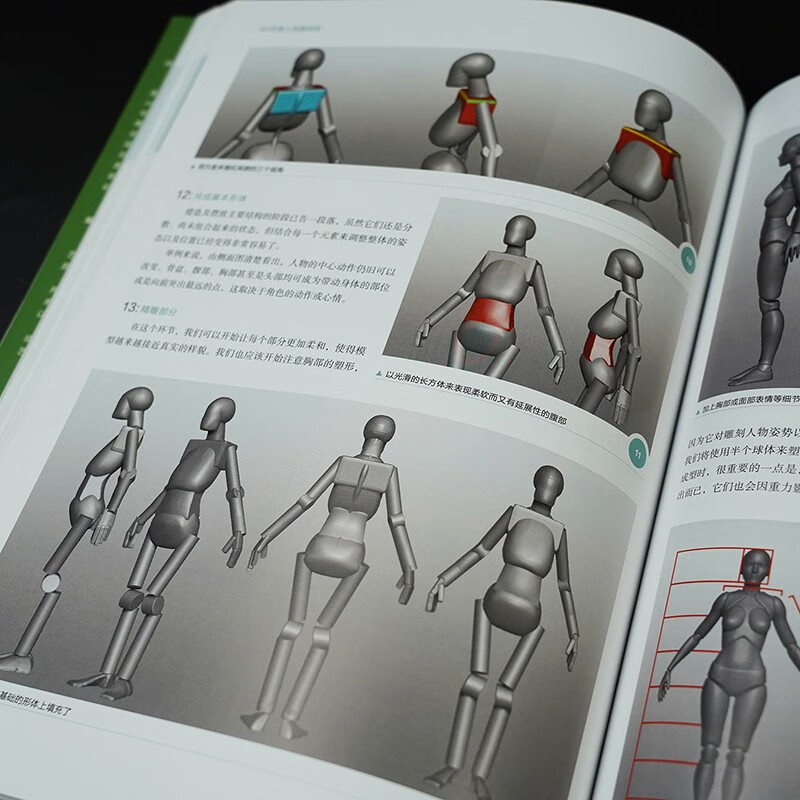 Human Anatomy for 3D Art