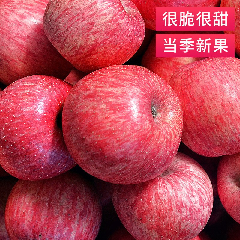 Baoxiansheng Authentic Shaanxi Luochuan Apple Red Fuji Crisp, Sweet and Juicy Seasonal Fresh Fruit for Pregnant Women Whole Box of Fresh Ugly Apples 85-90mm with box 10 jins (net weight 8.8 jins)