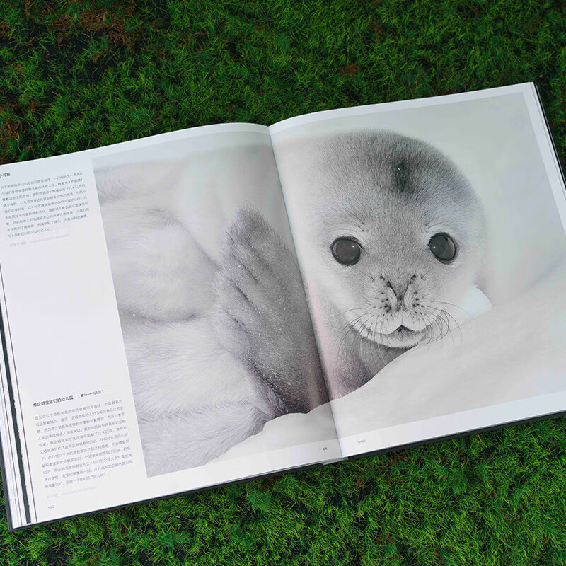 China National Geographic Born Wild Natural Landscape Wildlife Macro Observation Photography Album