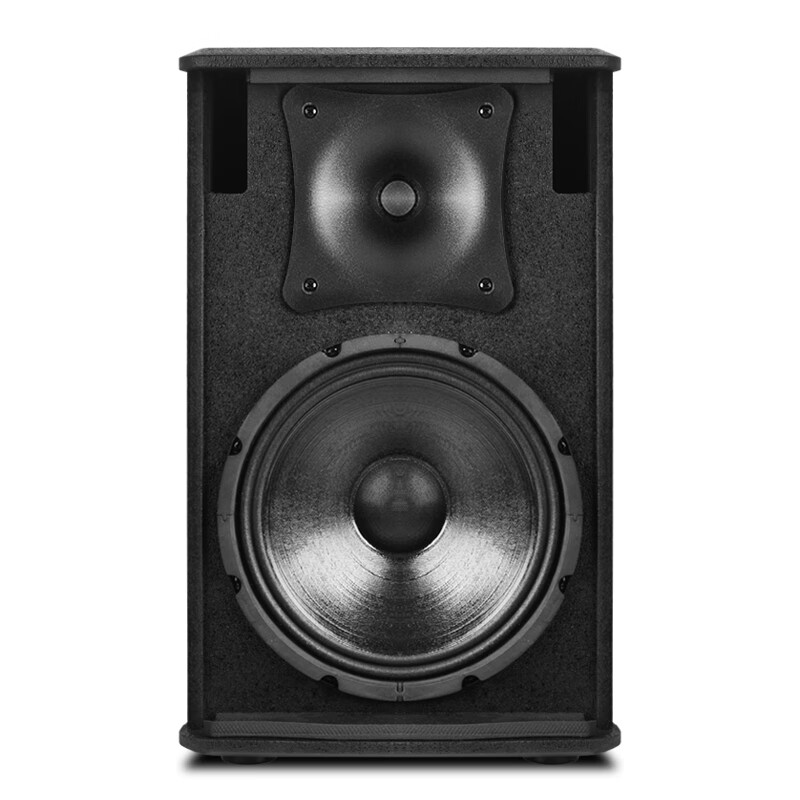 SHILE professional passive speakers 10-inch multi-function hall stage conference room lecture hall dance room KTV entertainment speakers pair BX-505