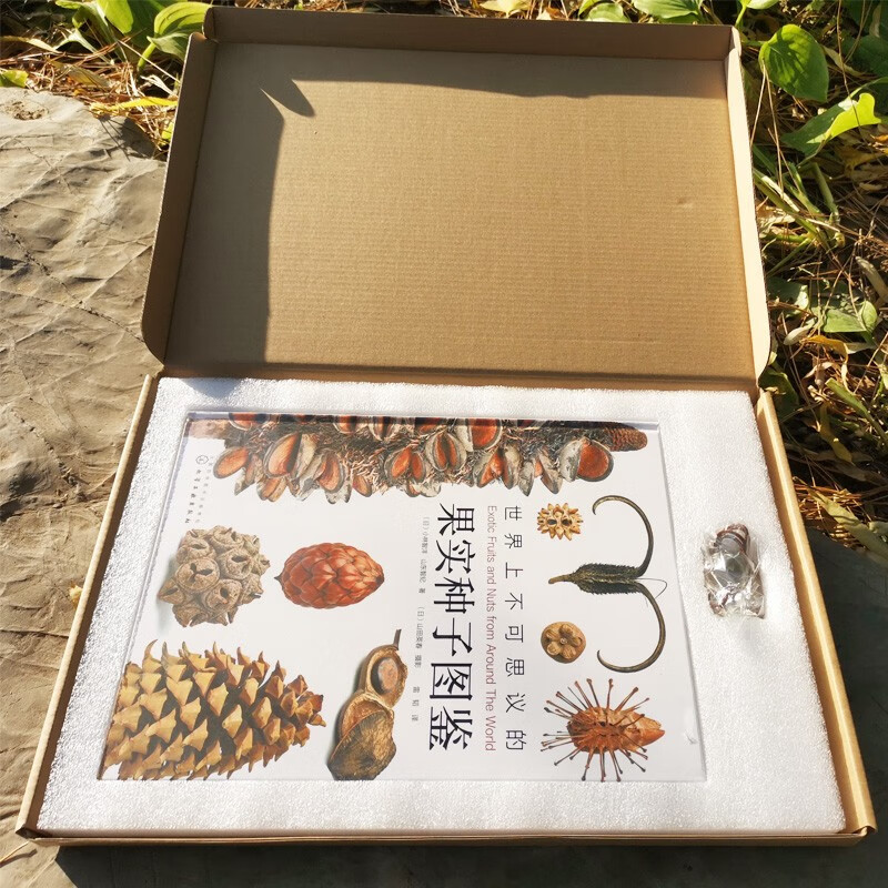 Infinitely Xiaoliang recommends an illustrated book of incredible fruit seeds in the world (free seed crystal pendant)