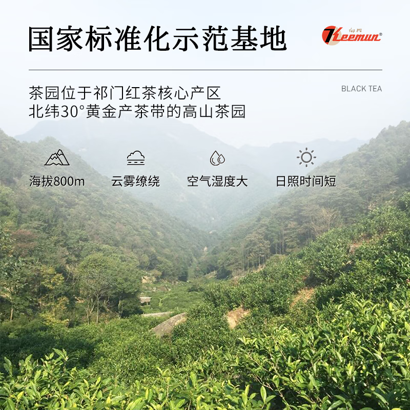 Keemun Black Tea Official Flagship Store 2025 New Tea Special Grade Authentic High-end Tea for Yourself to Drink as a Gift to Your Elder Parents Qihong Xiangsnail 200g (Special Grade/First Class)