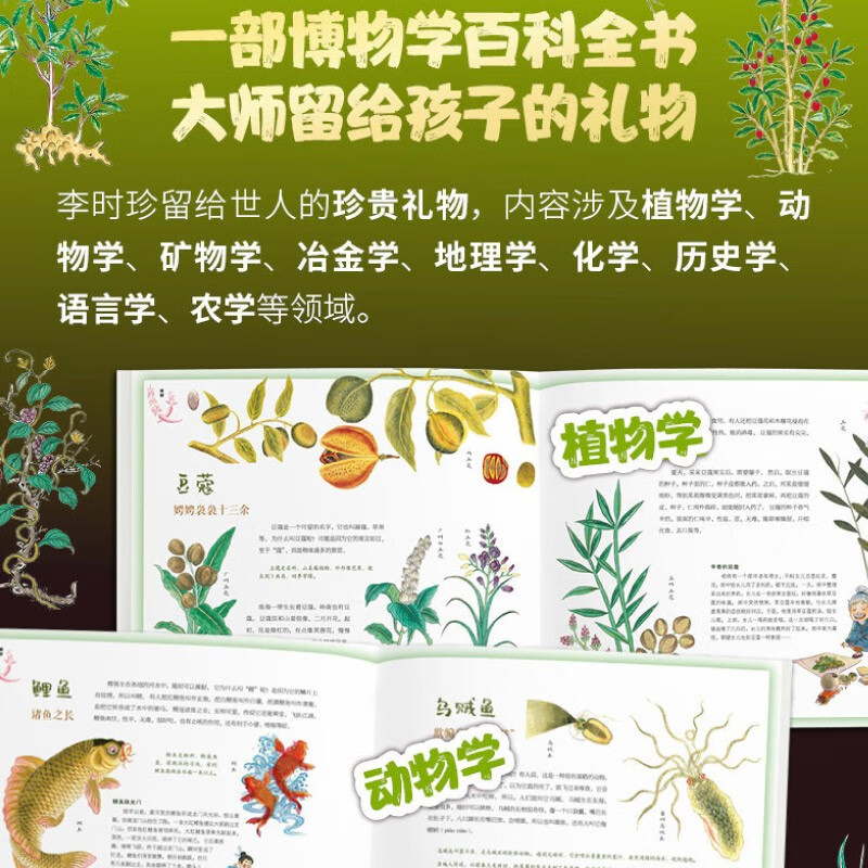 Youngsters read classics! Compendium of Materia Medica Winter Vacation Book List