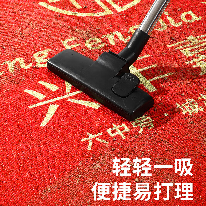 Shannixiu Zhou floor mat customized elevator car door mat wear-resistant anti-slip mat commercial hotel welcome carpet logo