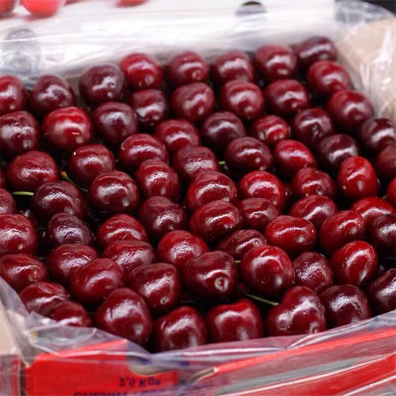 Chizhen Cherry Chile imported black pearl large cherry fresh seasonal fruit Christmas and Spring Festival gift box 1000g (net weight) gift box 3J