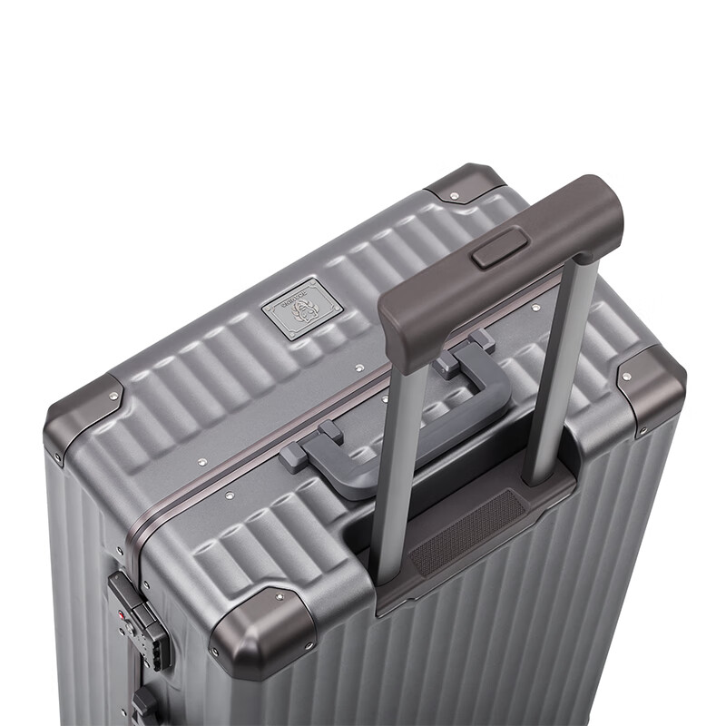 Roaming suitcase trolley case large capacity men's and women's high-looking travel luggage password case leather case 24-inch champagne gun