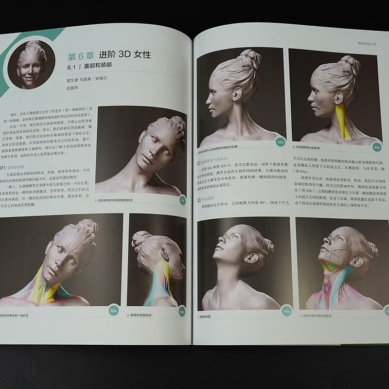 Human Anatomy for 3D Art