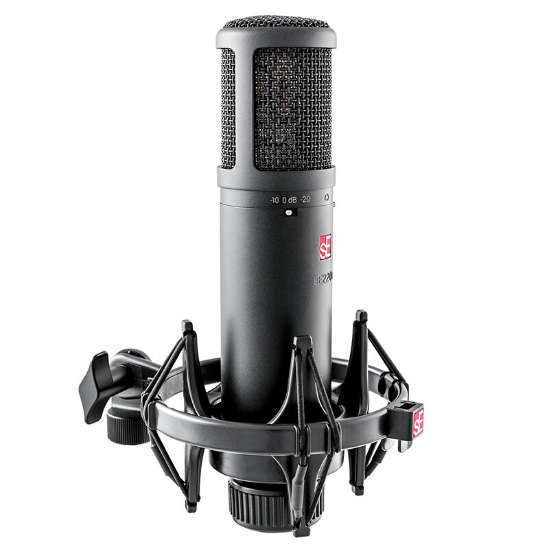 SE2200 large diaphragm condenser microphone live broadcast karaoke studio-level microphone dubbing recording audiobook equipment computer sound card microphone complete set sE2200 official standard + microphone cable + desktop stand