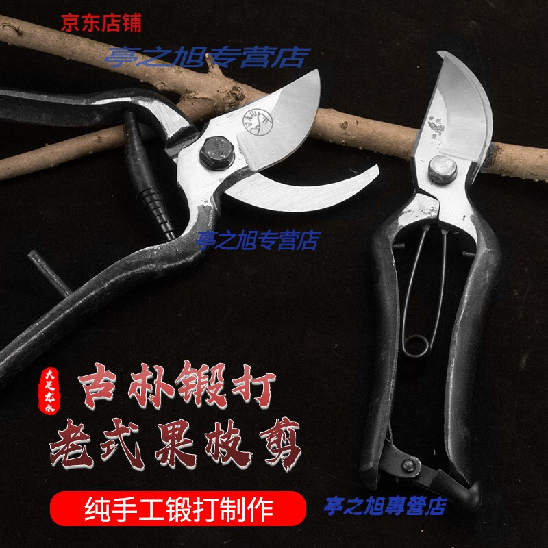 Customized floral old-fashioned fruit tree scissors, pruning shears, gardening scissors, labor-saving scissors, thick branch shears, pruning branch shears, 8-inch leather buckle Wangershan