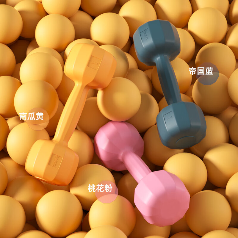 Langwei dumbbells women's fitness home fitness equipment children's yoga women's arm muscle encapsulated men's small dumbbells