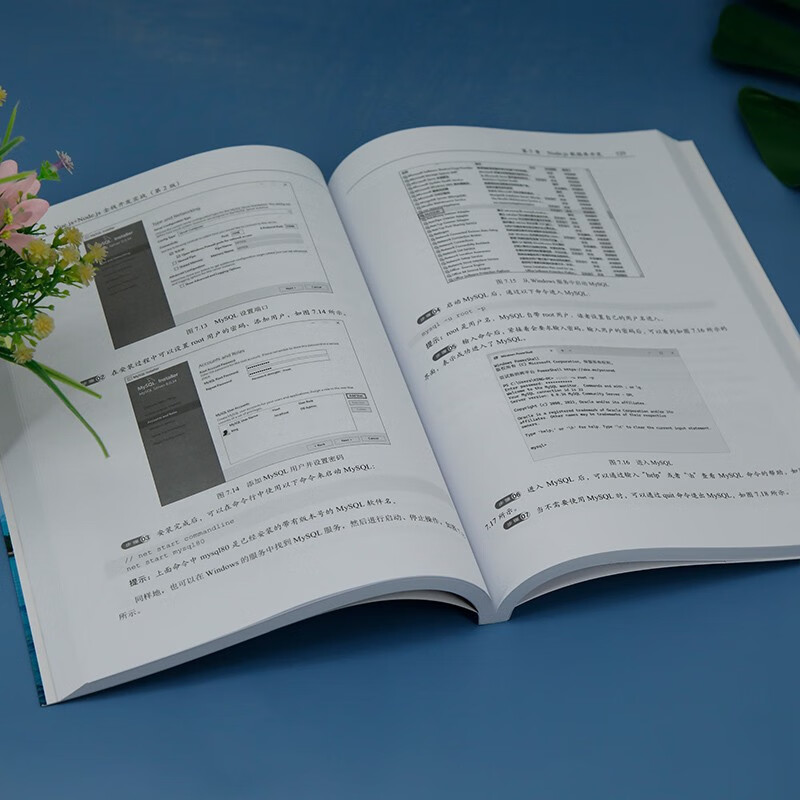 Vue.js+Node.js full-stack development practice (2nd edition) (Web front-end technology series)