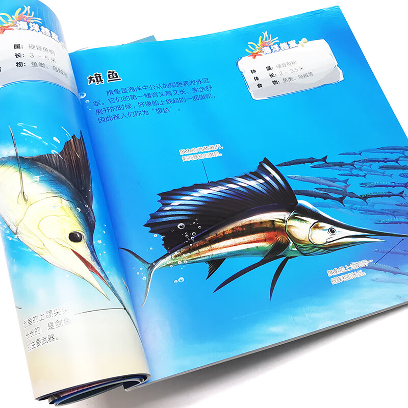 3-6 years old Ocean Illustration 105 kinds of sea animals that fascinate children