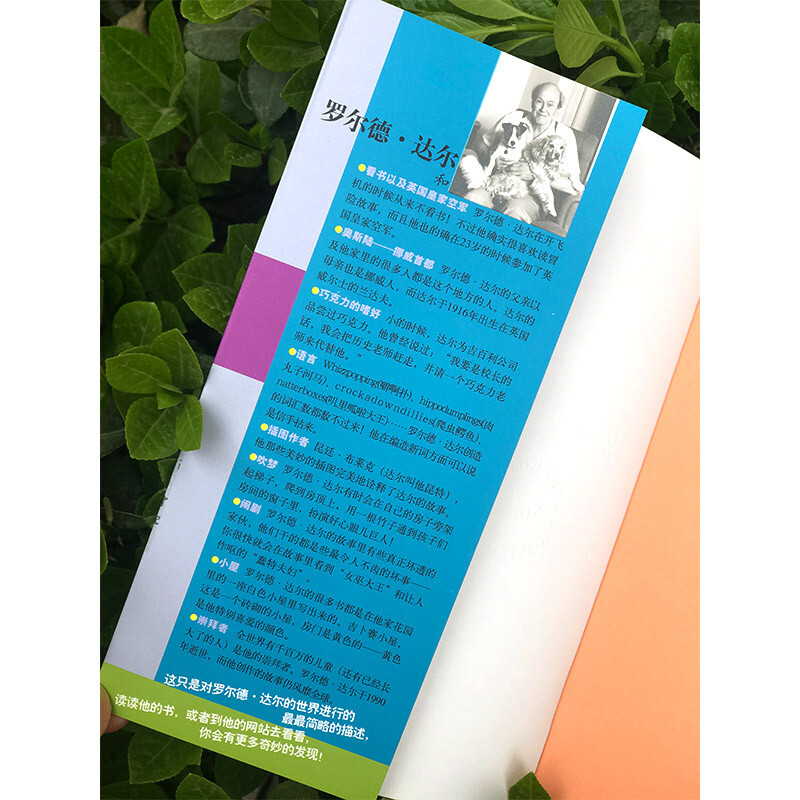 Collection of Roald Dahl's Works Good Boy Childhood Stories Extracurricular Reading Extracurricular Books