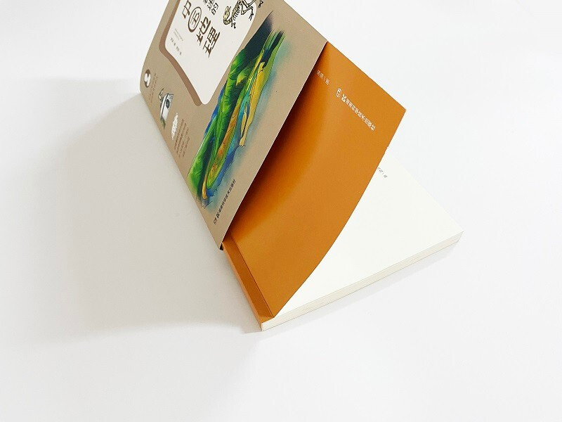 The geography of China that fascinates children (suitable for ages 6 and above)/Pao Pao’s Knowledge Classic Series