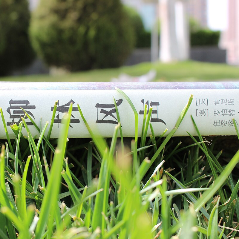 The Wind in the Willows, a full translation of Ren Rongrong's classic (100-year-old classic fairy tale, exquisite illustrations by Robert Yingpan, winner of the International Andersen Illustration Award), primary school students reading 7-14 years old