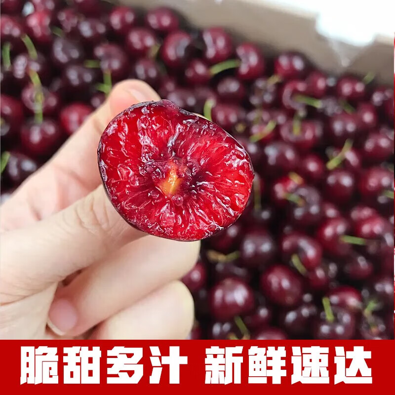 Caiti domestic cherries 5kg4j Dalian Meizao cherry fresh cherries next day delivery fresh fruit seasonal gift box 1kg (net weight) value pack J 26mm (inclusive)-28mm (inclusive)