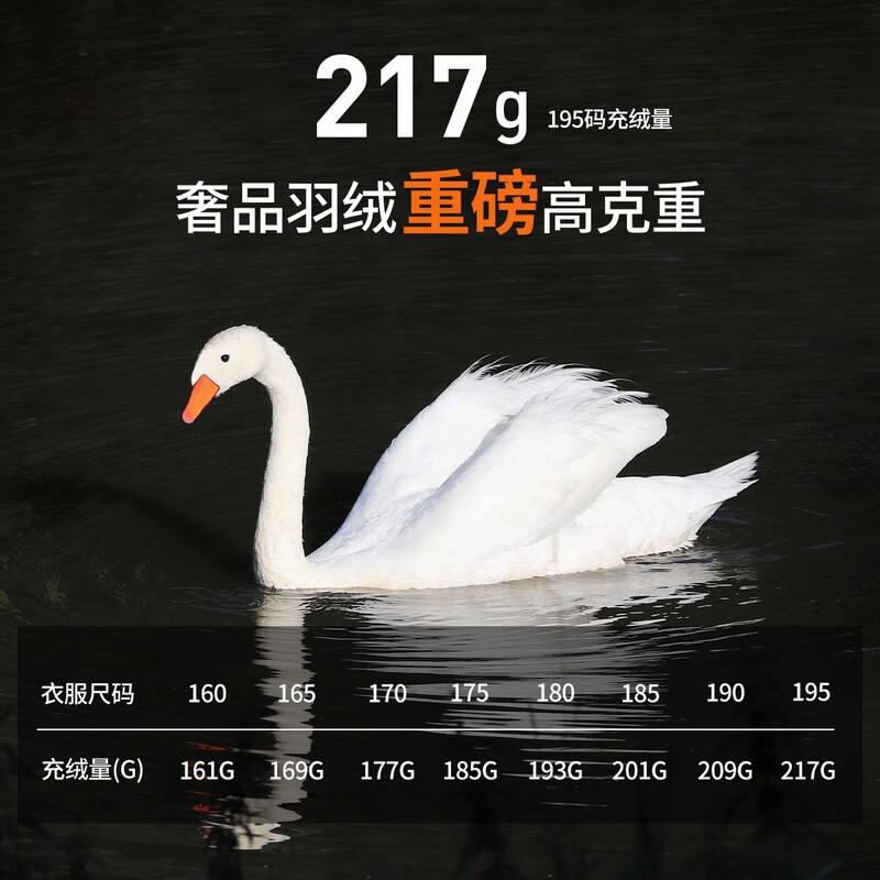 Dances with Wolves Offline Same Style Winter Down Jacket Men's Graphene Thickened Men's Down Jacket L(175)