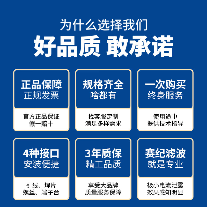 Saiji SJ4L2 power filter 220V AC emi rail double section anti-interference power purifier SJ4L2-6A-SR (with rails on the side)