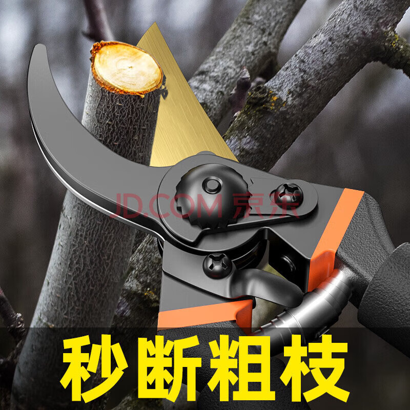 Dongjiu SK5 steel gardening shears, fruit tree pruning shears, garden thick branches, scissors for cutting branches, floral pruning shears, fruit picking shears, pruning shears, handles with sheaths
