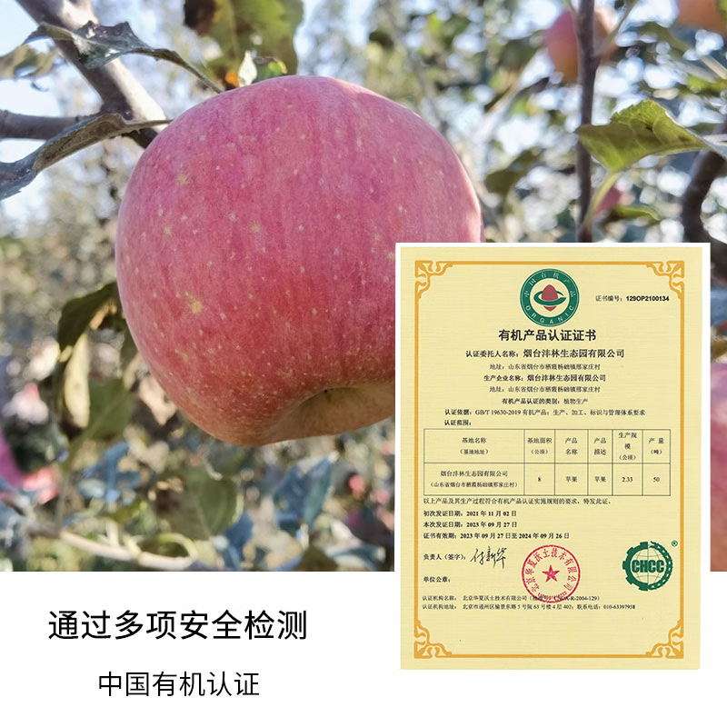 Organic Venus Red Fuji seasonal fruit fresh farm straight hair unwaxed Spring Festival gifts organic Venus apple 60-70mm (about 3 pounds of baby fruit)