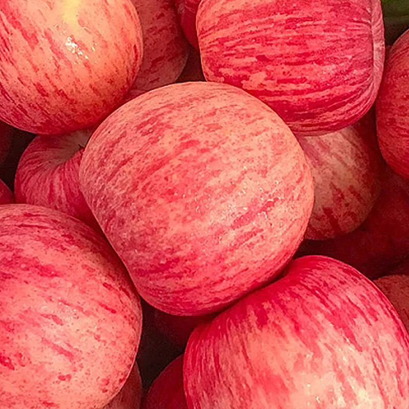 Jingxiansheng Shandong Yantai Red Fuji Apple, net weight 9 pounds, single fruit 75-80mm fresh fruit, direct delivery from the source, free shipping