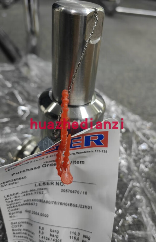 Brand new original LESER safety valve 5262.0452, 4373.2602, 4814.7692 4373.2602