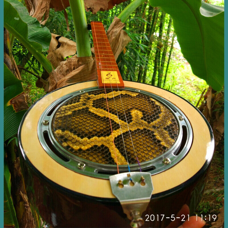 Ouyin's new product, rosewood fingerboard, Qinqin instrument, three-stringed leather garden waist-shaped piano, three-stringed Qin, national plucked instrument, intermediate garden-shaped middle leather
