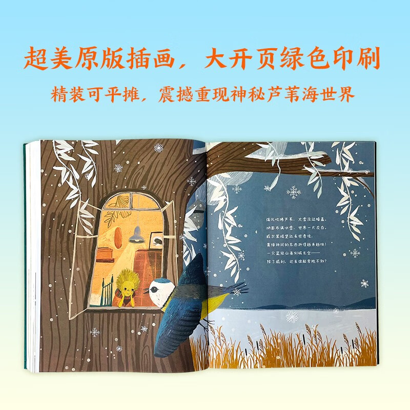 Thank you for summer in winter extracurricular reading reading extracurricular books