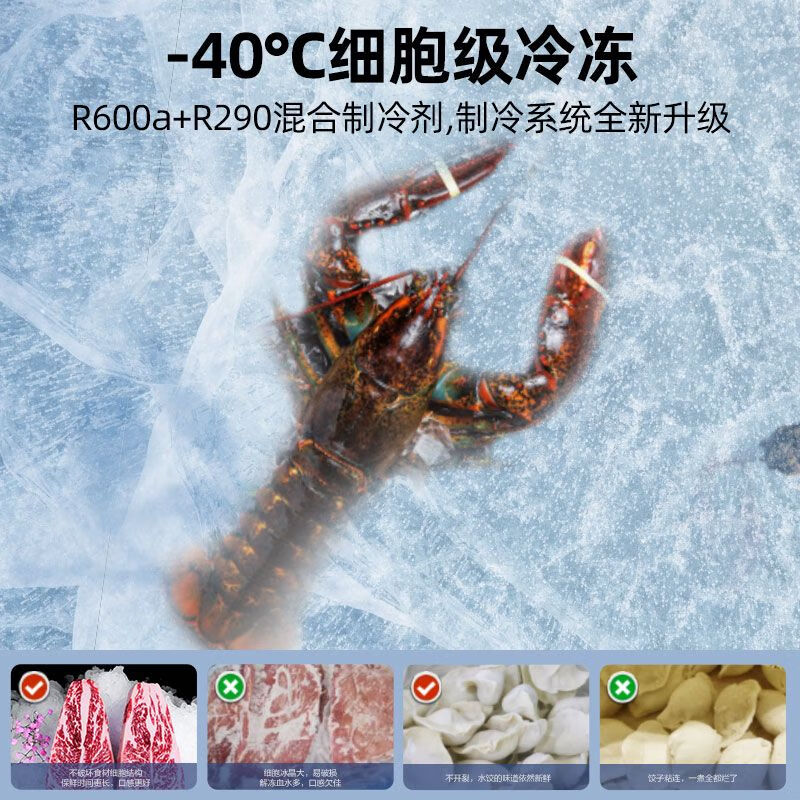 Star Freezer Air-cooled Frost-free Upright Freezer-40 First-Class Energy Efficiency Energy-Saving Cryogenic Refrigerator Freezer-40 Degrees Air-cooled Frost-free 201WPM