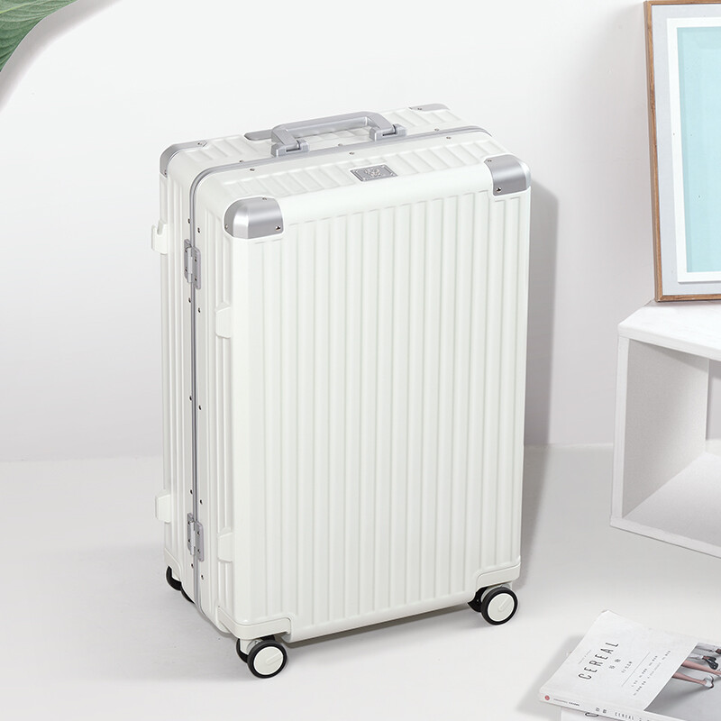 Roaming suitcase trolley case large capacity men's and women's high-looking travel luggage password case leather case 24-inch champagne gun