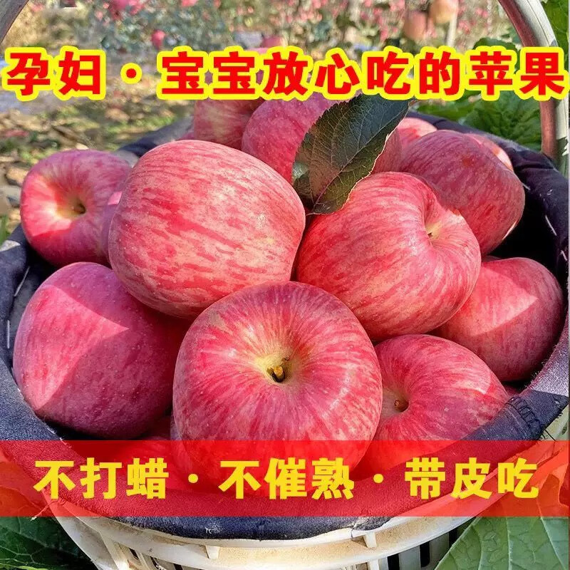 Jixian apples, bursting with sweetness, 2025 authentic Jixian apples, crispy, sweet and juicy Hukou apples, fresh fruit whole box shipped directly from the origin, 8.5 catties, 85mm large fruit, about 18 pieces, Jixian Hukou apples in season
