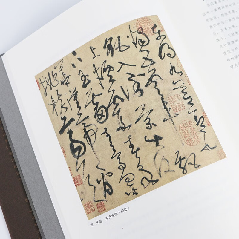 <The Essentials of Chinese Calligraphy Theory> (Illustrated Collection Edition)