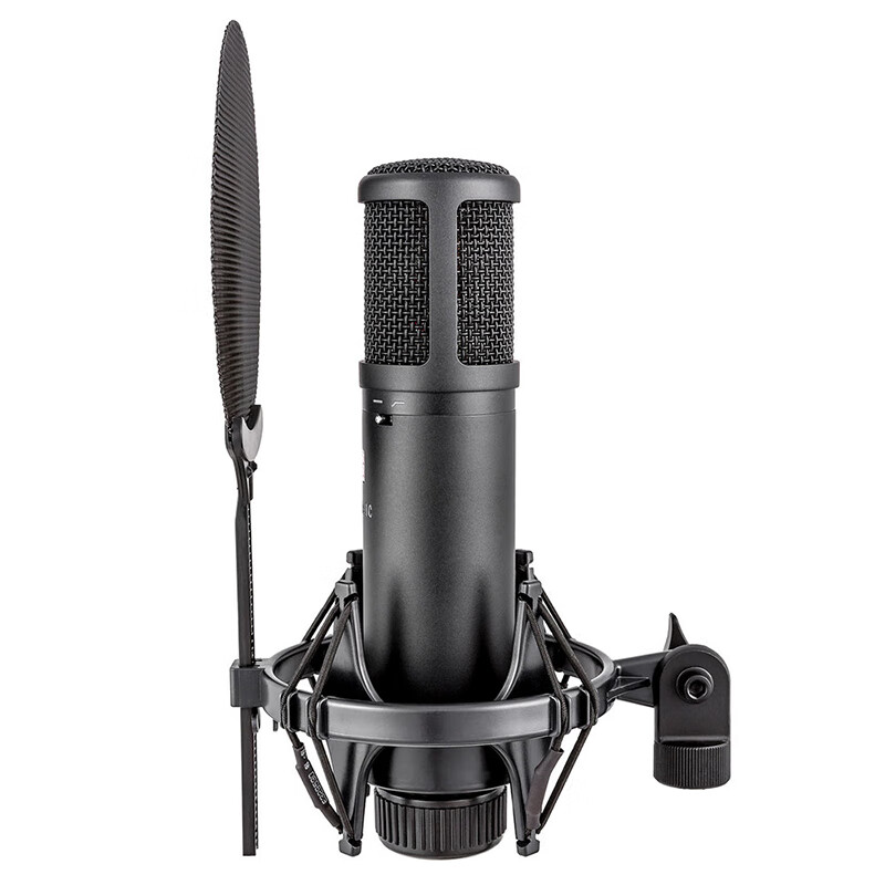 SE2200 large diaphragm condenser microphone live broadcast karaoke studio-level microphone dubbing recording audiobook equipment computer sound card microphone complete set sE2200 official standard + microphone cable + desktop stand
